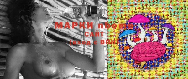 spice Билибино