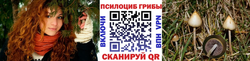 хочу наркоту  площадка официальный сайт  Галлюциногенные грибы мицелий  Воронеж 