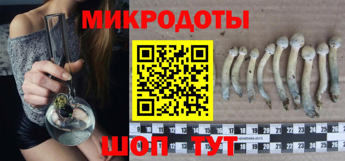 Галлюциногенные грибы ЛСД Воронеж