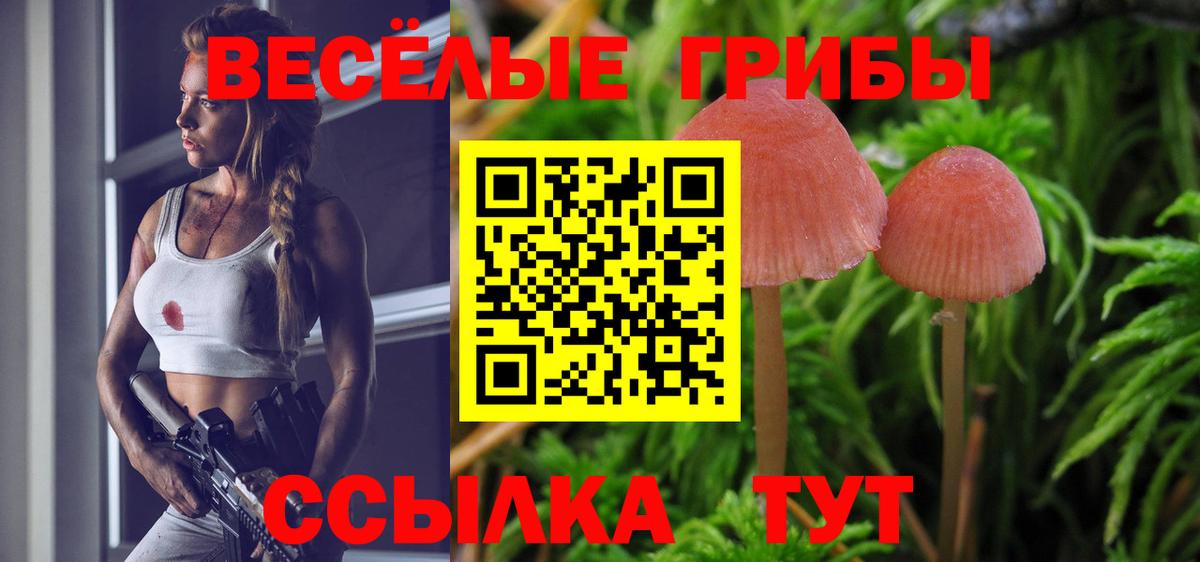 Псилоцибиновые грибы Cubensis  Воронеж 