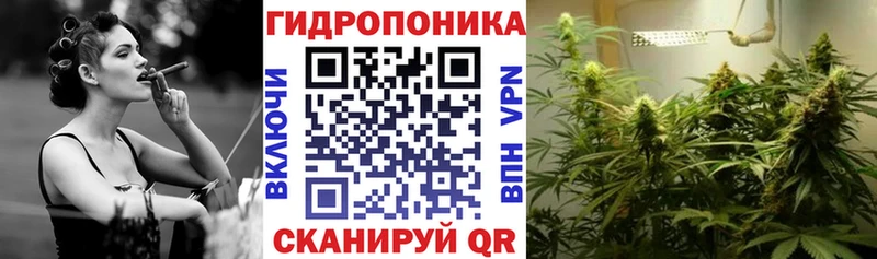 купить закладку Воронеж Шишки марихуана индика